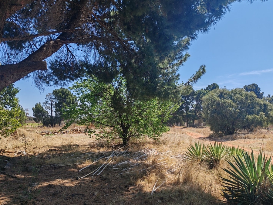 Commercial Property for Sale in Spitskop SH Free State